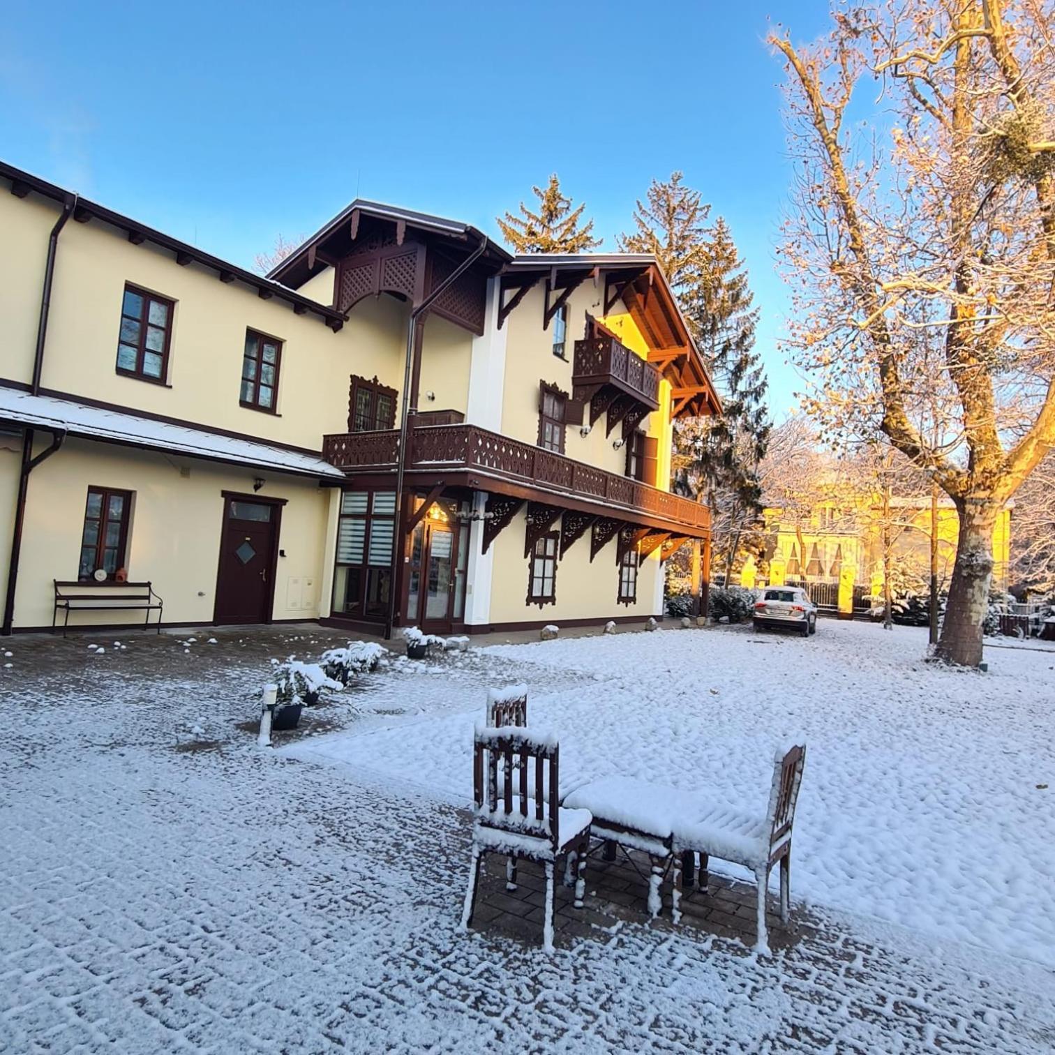 Villa Musik - Historical Apartments In Baden Bagian luar foto