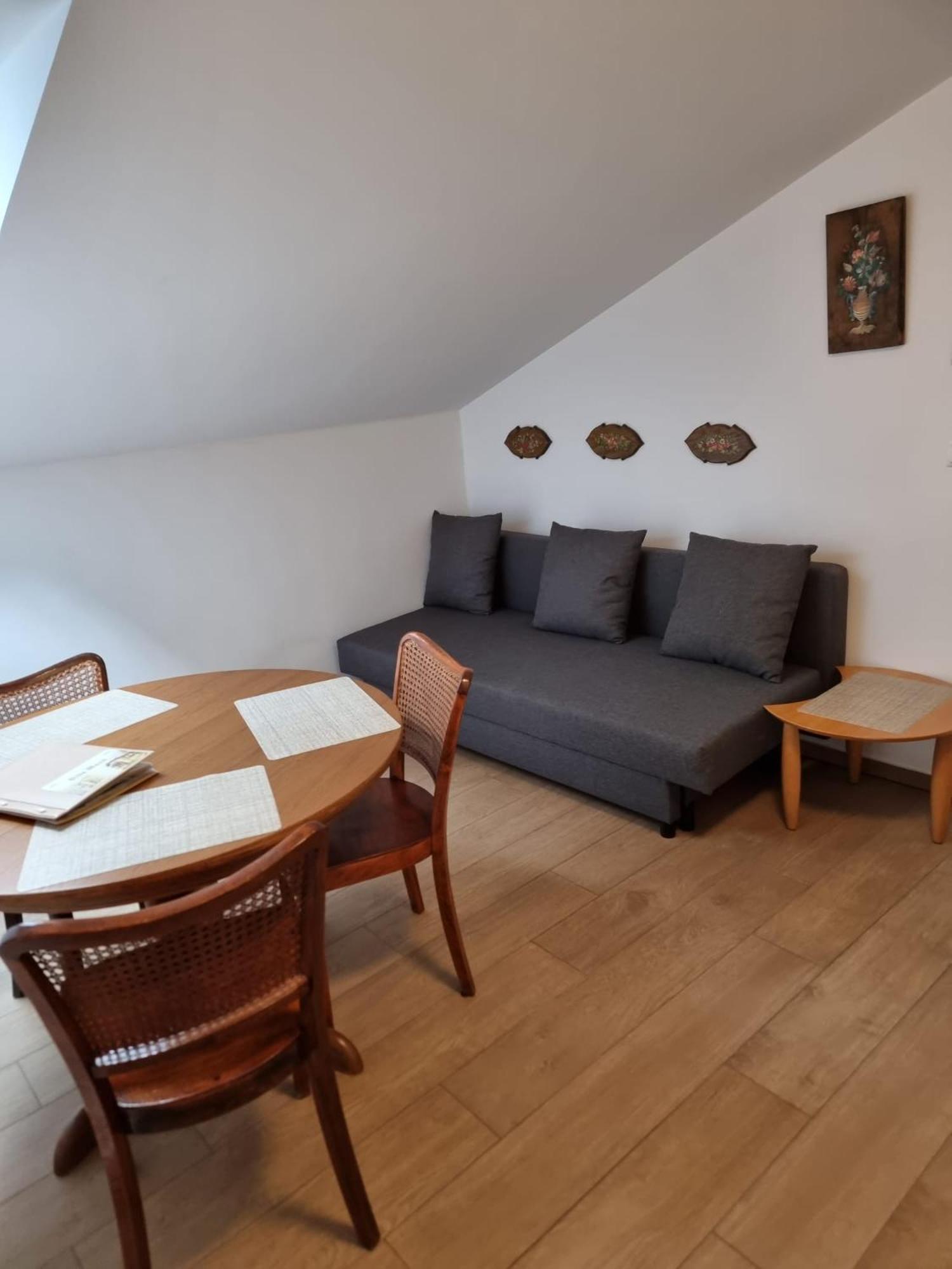 Villa Musik - Historical Apartments In Baden Bagian luar foto