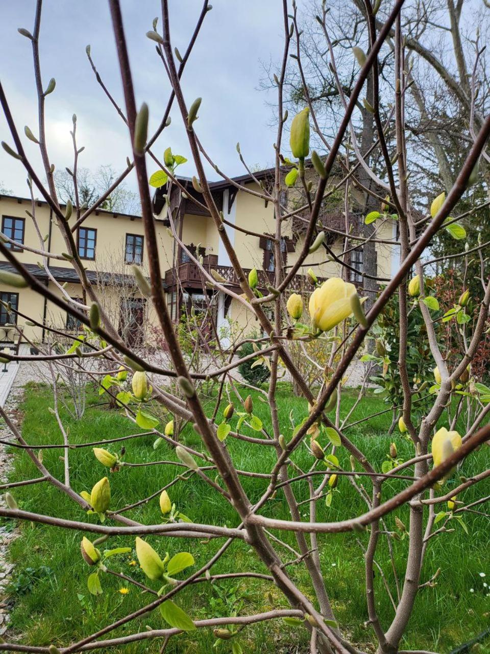 Villa Musik - Historical Apartments In Baden Bagian luar foto